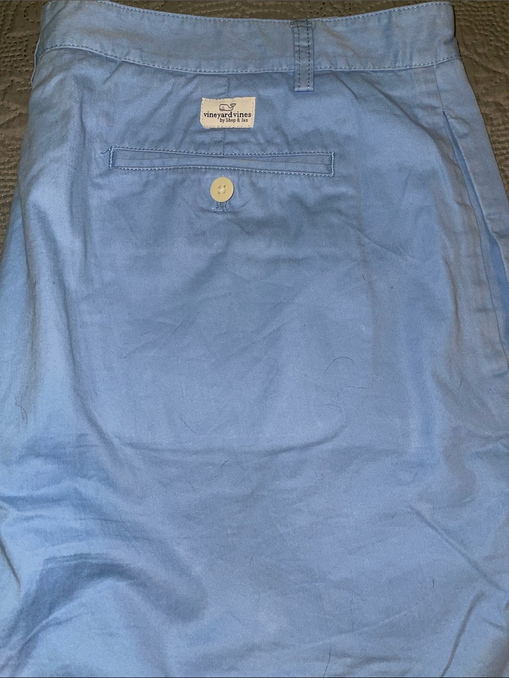 Vineyard Vines Pale Blue Flat-Front Men's Shorts Size 40